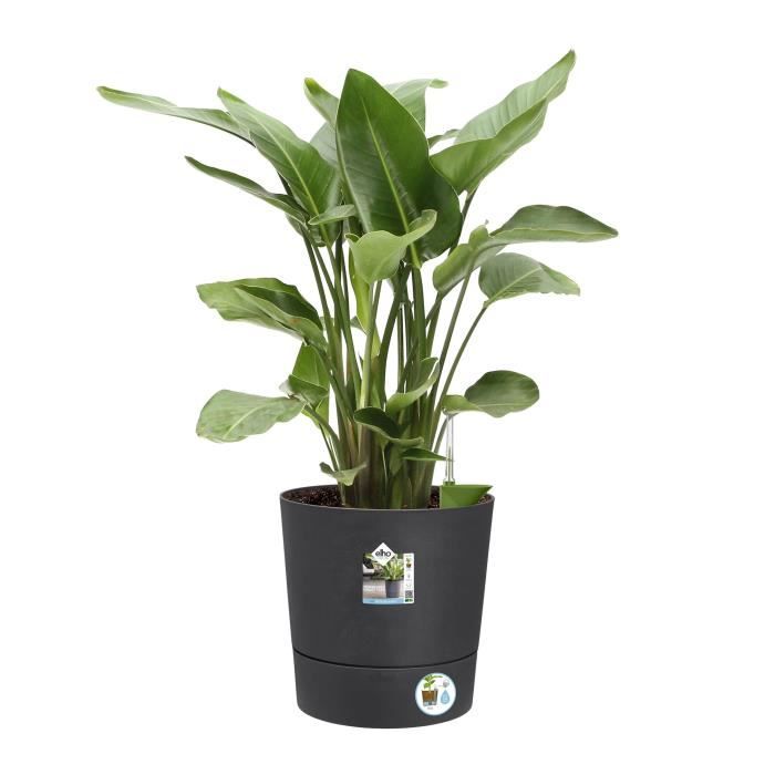 ELHO Pot de fleurs Greensense Aqua Care rond - Ø 43 x H 43 cm - Intérieur,extérieur - 100% recyclé - Gris
