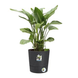 ELHO Pot de fleurs Greensense Aqua Care rond - Ø 43 x H 43 cm - Intérieur,extérieur - 100% recyclé - Gris