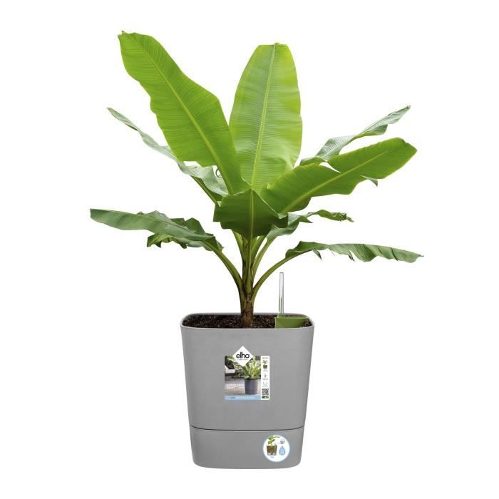 ELHO Pot de fleurs Carré Greensense Aqua Care - Ø 29,5 x H 30,2 cm - 15 L - Vert Jungle
