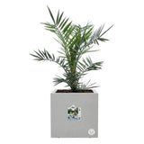 ELHO Bac a fleurs Vivo Next Square 40 - Ø 39 x H 38 cm - Intérieur,Extérieur - 100% recyclé - Gris