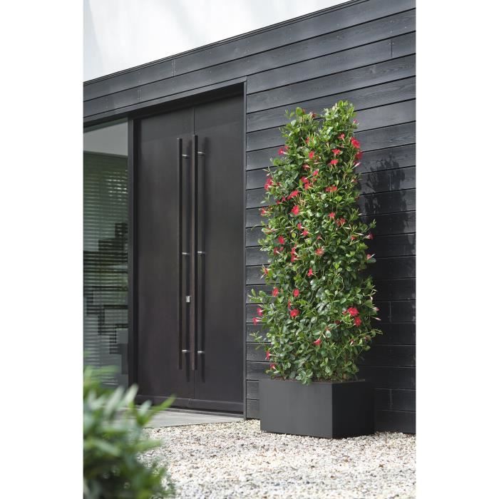 ELHO Bac a fleurs Vivo Next Long 80 - L 78 x W 39 x H 38 cm - Intérieur,Extérieur - 100% recyclé - Noir