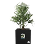 ELHO Bac a fleurs Vivo Next Square 30  - Ø 30 x H 29 cm - Intérieur,Extérieur - 100% recyclé - Noir