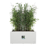 ELHO Bac a fleurs Vivo Next Long 60 - L 59 x W 30 x H 29 cm - Intérieur,Extérieur - 100% recyclé - Blanc