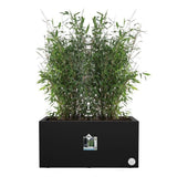 ELHO Bac a fleurs Vivo Next Long 60 - L 59 x W 30 x H 29 cm - Intérieur,Extérieur - 100% recyclé - Noir