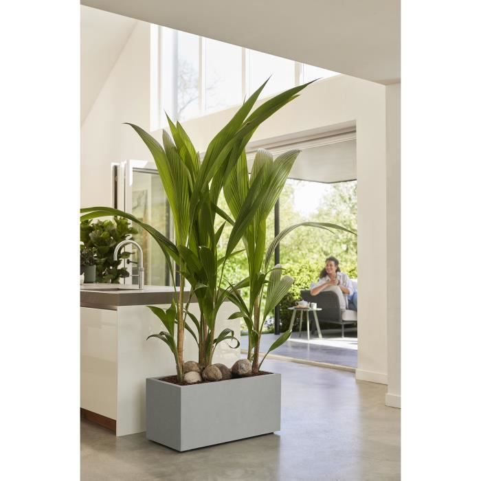 Elho Bac a fleurs Vivo Next Long 60 - L 59 x W 30 x H 29 cm - Intérieur,Extérieur - 100% recyclé - Gris