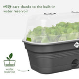 ELHO Bac a culture Green Basics Allin1 Large - L 39 x B 23 x H 15 cm - culture et récolte - 100% recyclé - Noir