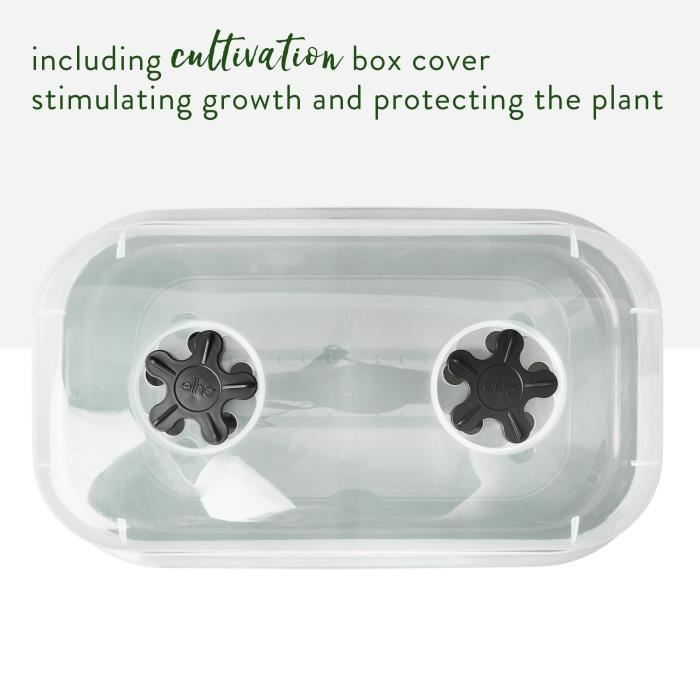 ELHO Bac a culture Green Basics Allin1 Large - L 39 x B 23 x H 15 cm - culture et récolte - 100% recyclé - Noir