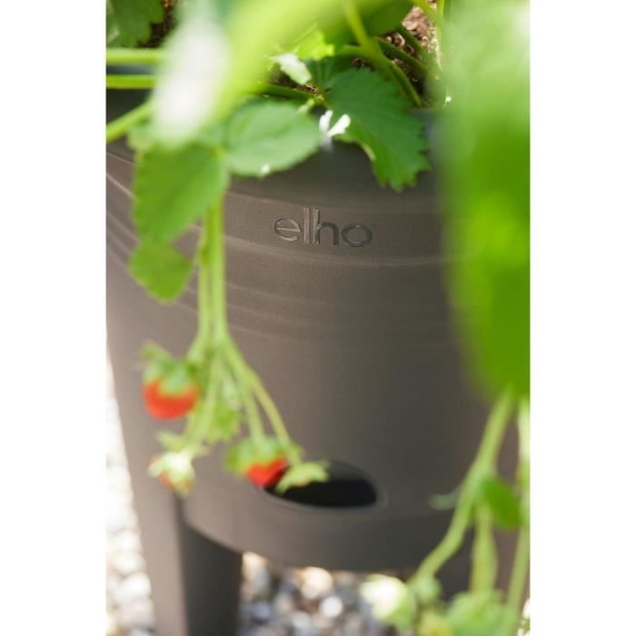 ELHO Pot de culture a fraises Green Basics - Ø 33 x H 42 cm - Culture et récolte,extérieur - 100% recyclé - Noir