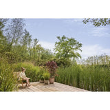 ELHO Pot de fleurs Sereh Rond 30 - Vert - Ø 29.5 x H 25 cm - 100% recyclé