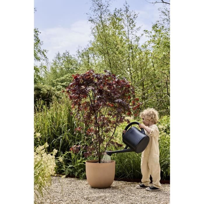 ELHO Pot de fleurs Sereh Rond 30 - Marron - Ø 29.5 x H 25 cm - 100% recyclé