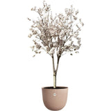 ELHO Pot de fleurs Sereh Rond 47 - Marron - Ø 47 x H 40 cm - 100% recyclé