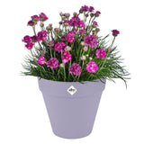ELHO Pot de fleurs Loft Urban Rond avec roues - Violet - Ø 38.5 x H 35 cm - Extérieur - 100% recyclé