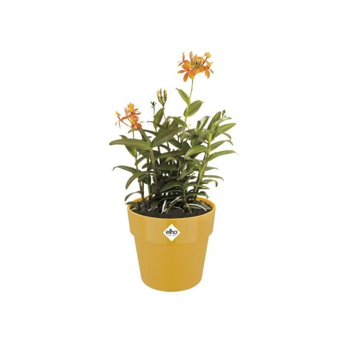ELHO Pot de fleurs B.FOR ORIGINAL rond - 7,9L - Ø 25 x 23 cm - Ocre