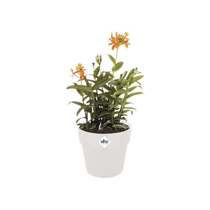 ELHO Pot de fleurs B.FOR ORIGINAL rond avec roues - 21,9L - Ø 35 x H 32 cm - blanc