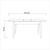 Table a manger - SANTIAGO - Extensible - Rectangulaire - 4 personnes - 120 x 77 x 75 cm - Pin atlantique