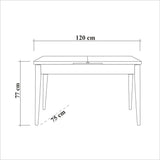 Table a manger - COSTA - Rectangulaire - 4 personnes - 120 x 77 x 75 cm - Pin atlantique / Blanc