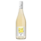 Entre Copains 2024 Côtes Catalanes - Vin blanc de Languedoc