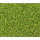 Gazon synthétique - Exelgreen - Campus 25mm - 1m x 5m