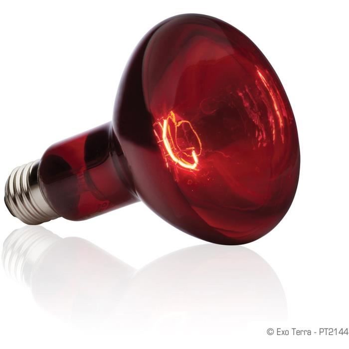 Ampoule chauffante pour terrarium - EXO TERRA - Basking Spot - Chaleur infrarouge - 100W