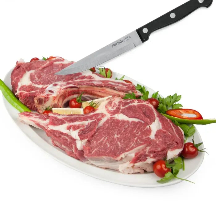 Lot de 6 couteaux a steak - NIROSTA - 21 cm