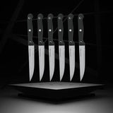 Lot de 6 couteaux a steak - NIROSTA - 21 cm