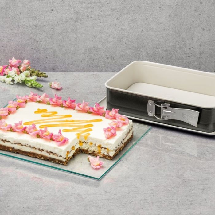 Moule a cake et moule a gâteau rectangulaire - DR oeTKER - Back Trend - 30 cm et 28 x 18 cm