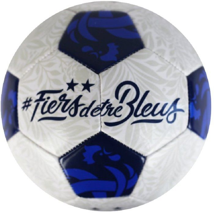 Ballon de football - FFF - Vision - T5 - 400g