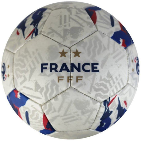 Ballon de football - FFF - Jersey Pulse - T5