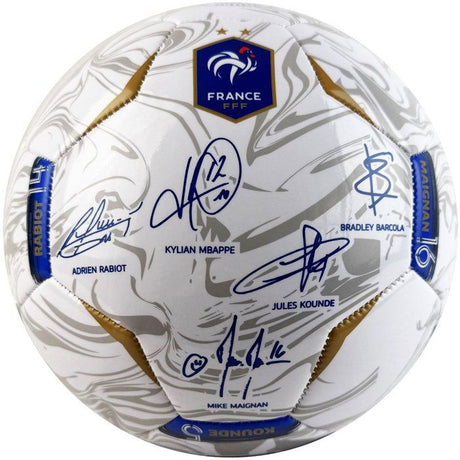 Ballon de football - FFF - Photoball - T5 - Blanc