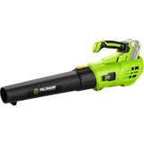 Souffleur de feuilles sans fil - Fieldmann - FZF 70605-0