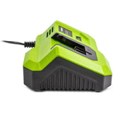 Chargeur rapide - FIELDMANN - Pour batterie 20V - Charge 2Ah en 30 min - Compatible 2Ah, 4Ah, 8Ah