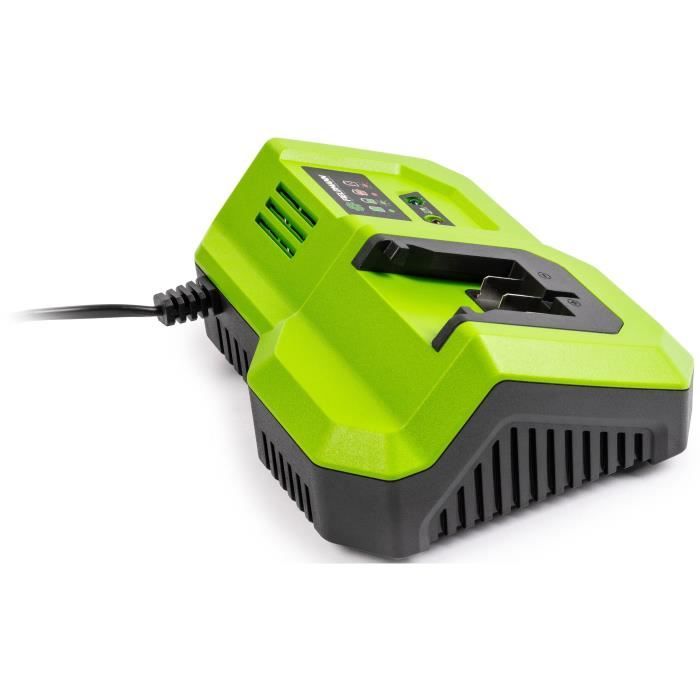 Chargeur rapide - FIELDMANN - Pour batterie 20V - Charge 2Ah en 30 min - Compatible 2Ah, 4Ah, 8Ah