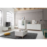Meuble TV scandinave GÖTEBORG - Blanc - 2 Portes - L 160 x P 40 x H 50 cm