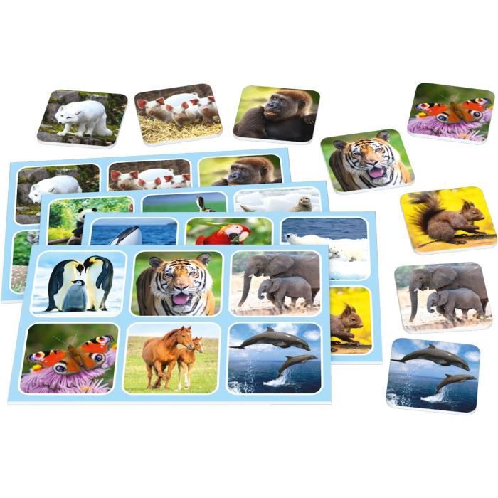 Zoo Lotto - Jeux de SociÈtÈ - SCHMIDT SPIELE - Amusez-vous en famille avec ce jeu de loto passionnant !