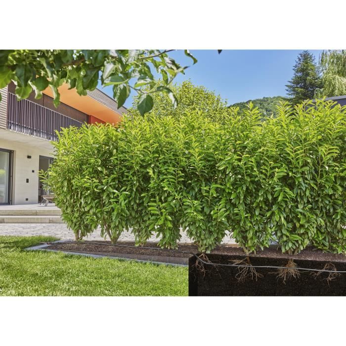 Extension de tuyau a goutteurs incorporés - GARDENA - 25 m - Enterré et en surface