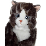 Peluche - Gipsy Toys - Chat mimiz - 28cm - Gris