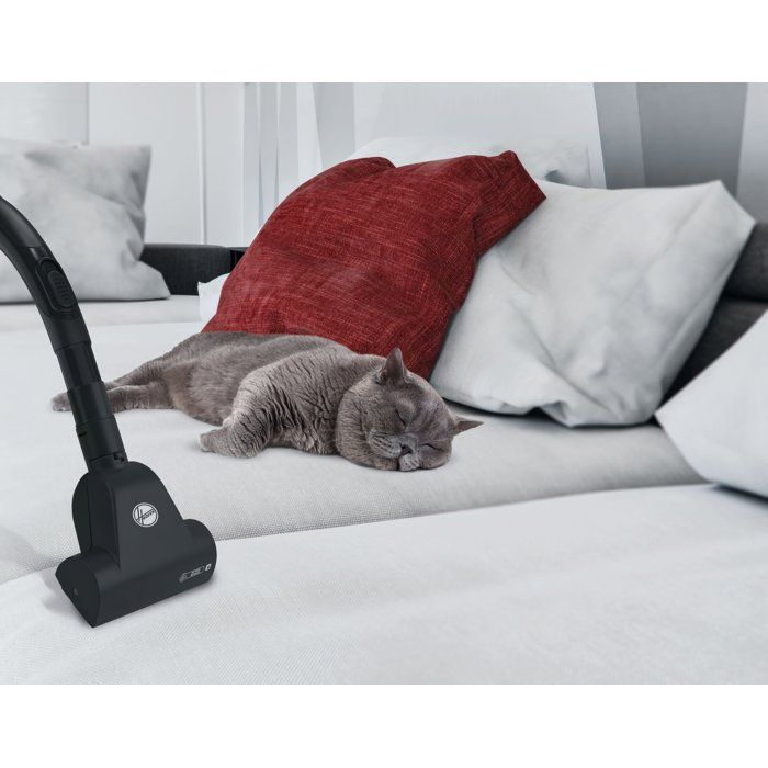 HOOVER TXL21PET - Aspirateur Traineau avec sac - Puissance 700 W - Filtre EPA12 - Ultra-Maniable - Variateur intégré