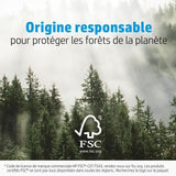 Papier photo glacÈ HP AvancÈe - 250 g/m2 - 4 x 12 pouces - 10 feuilles