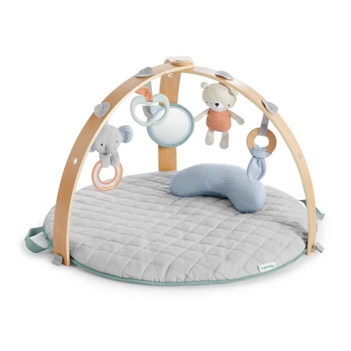 INGENUITY Tapis d'éveil réversible  bébé évolutif - Loamy -  pliable, arche de jeu en bois amovible, 5 jouets,Cadeau Noel bébé