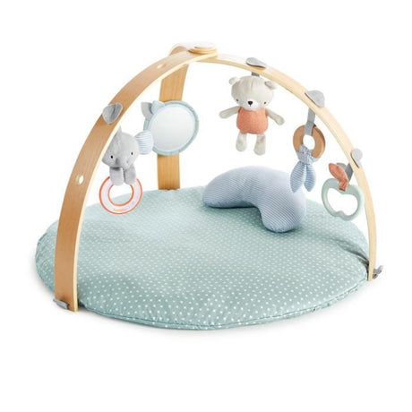 INGENUITY Tapis d'éveil réversible  bébé évolutif - Loamy™ -  pliable, arche de jeu en bois amovible, 5 jouets,cadeau bébé