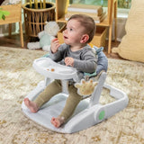 INGENUITY Casi le zebre, Siege bébé d'apprentissage - apporte support a bébé, cadeau bébé