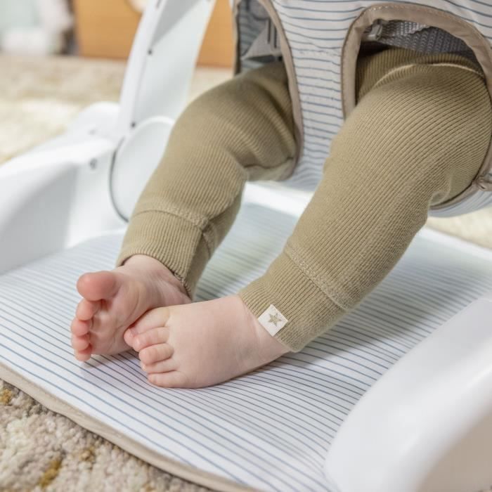 INGENUITY Casi le zebre, Siege bébé d'apprentissage - apporte support a bébé, Cadeau Noel bébé