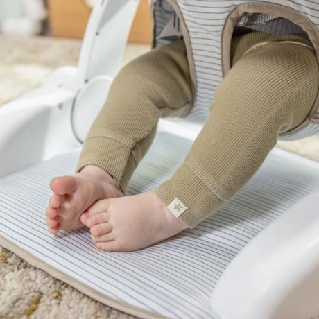 INGENUITY Casi le zebre, Siege bébé d'apprentissage - apporte support a bébé, cadeau bébé