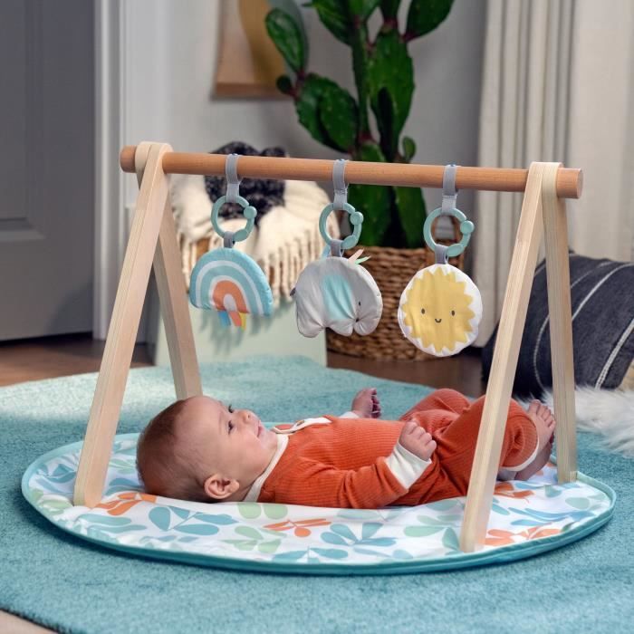 INGENUITY Tapis d'éveil bébé Sun Valley, arche de jeu en bois - 3 jouets amovibles - pliable