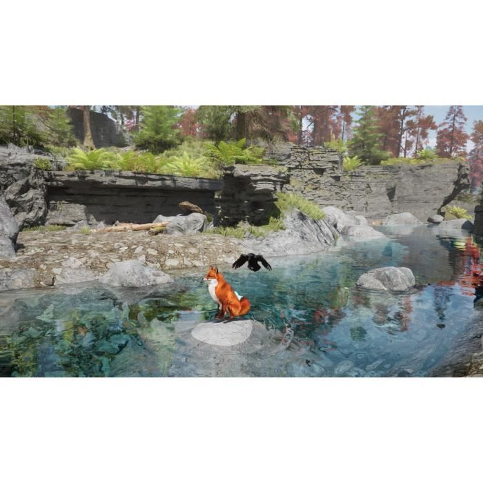 Spirit of the North 2 - Jeu PS5