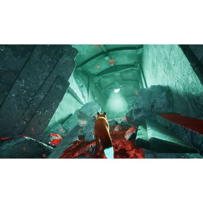 Spirit of the North 2 - Jeu PS5