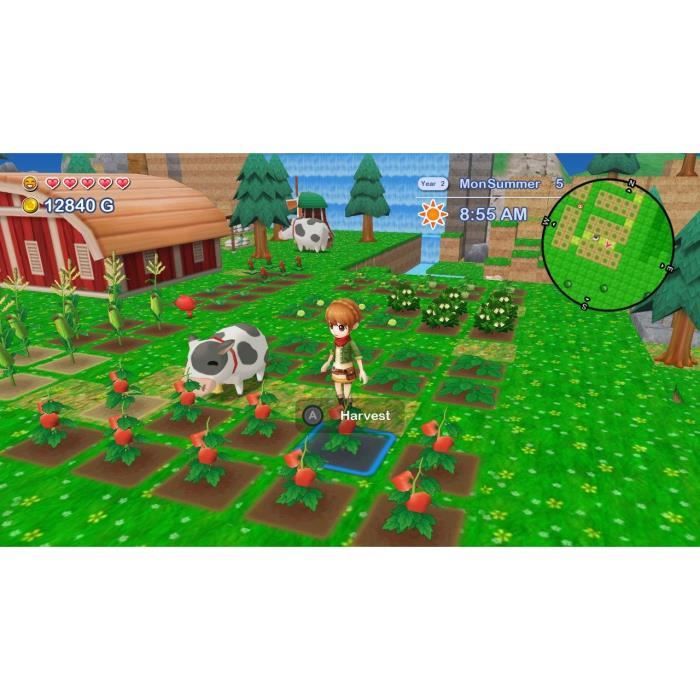Harvest Moon The Lost Valley + Skytree Village - Edition Collector - Jeu Nintendo Switch