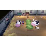 Story of Seasons : Grand Bazaar - Jeu Nintendo Switch - Edition limitée