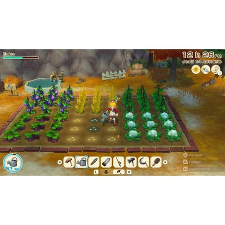 Story of Seasons : Grand Bazaar - Jeu Nintendo Switch - Edition limitée
