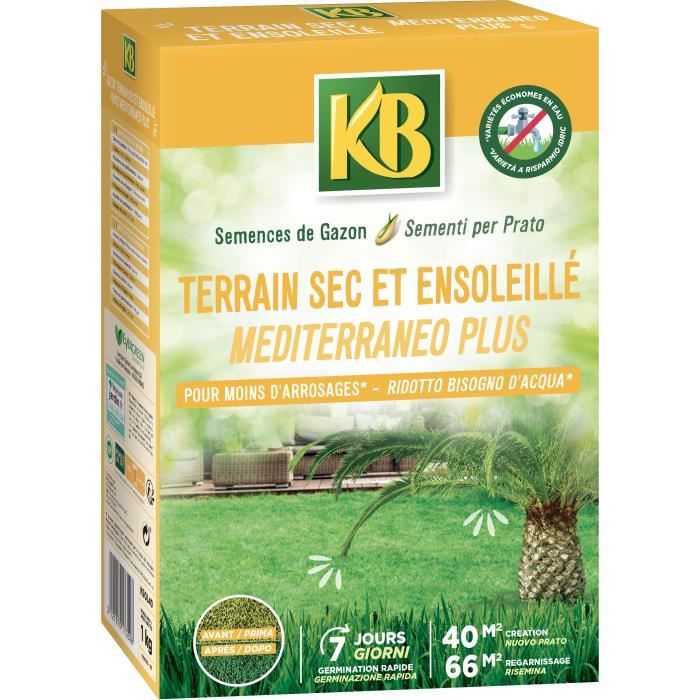 KB - Grass seeds - Dry and sunny land 40m²